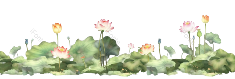 叶子图片,清新元素,荷花PNG,户外免抠素材